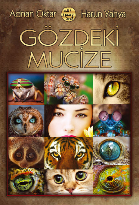 Gözdeki Mucize